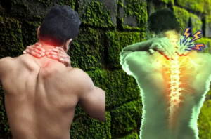 Neck Pain Physical Therapy in Charlotte, NC