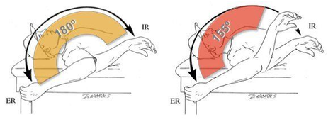 baseball physical therapy Charlotte