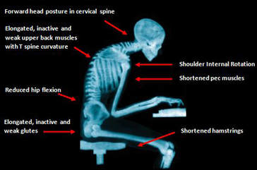 https://thecharlotteathlete.com/wp-content/uploads/2022/10/lower-back-pain-sitting.jpg