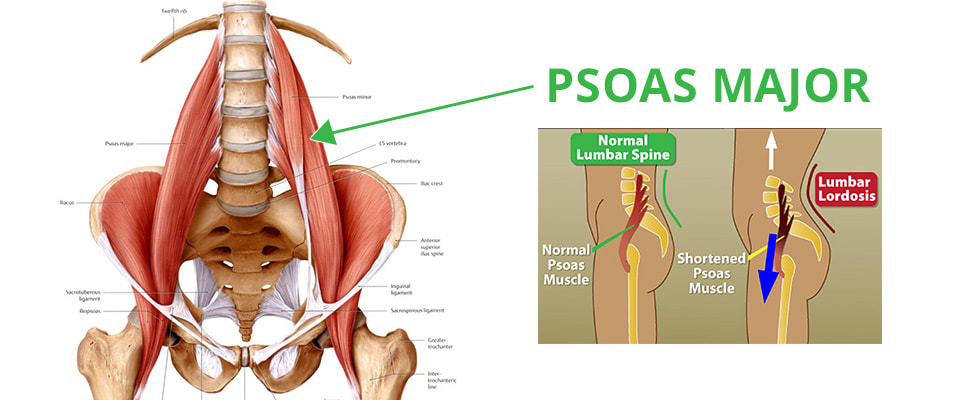 Low back pain charlotte physical therapy