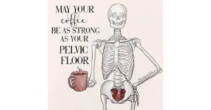 pelvic floor physical therapy charlotte