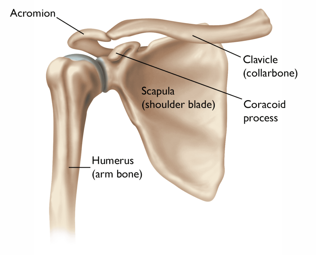 Shoulder phyiscal therapy charlotte