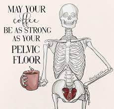 Pelvic floor physical therapy charlotte